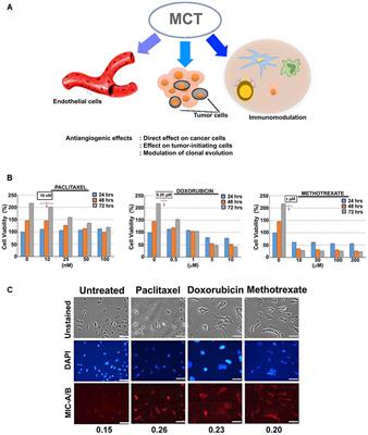 Is There an Opportunity for Current Chemotherapeutics to Up-regulate MIC-A/B Ligands?